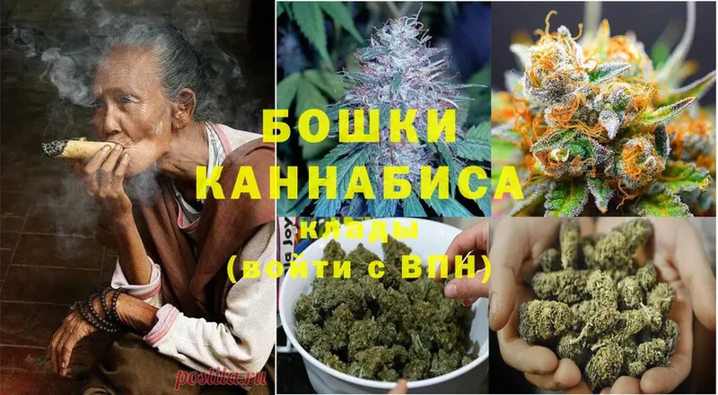 Бошки марихуана OG Kush  Высоковск 